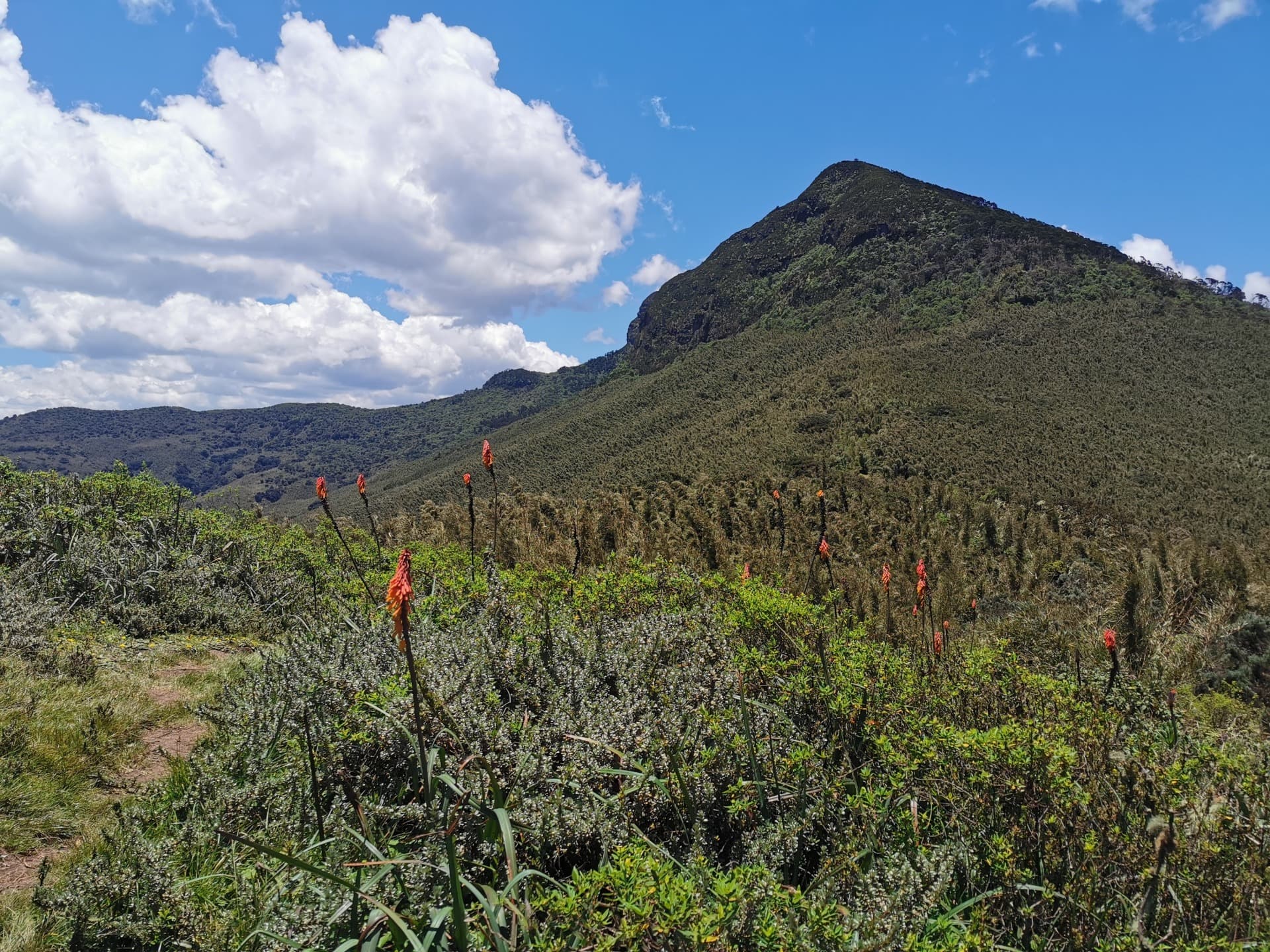 O Parque Nacional de Aberdare