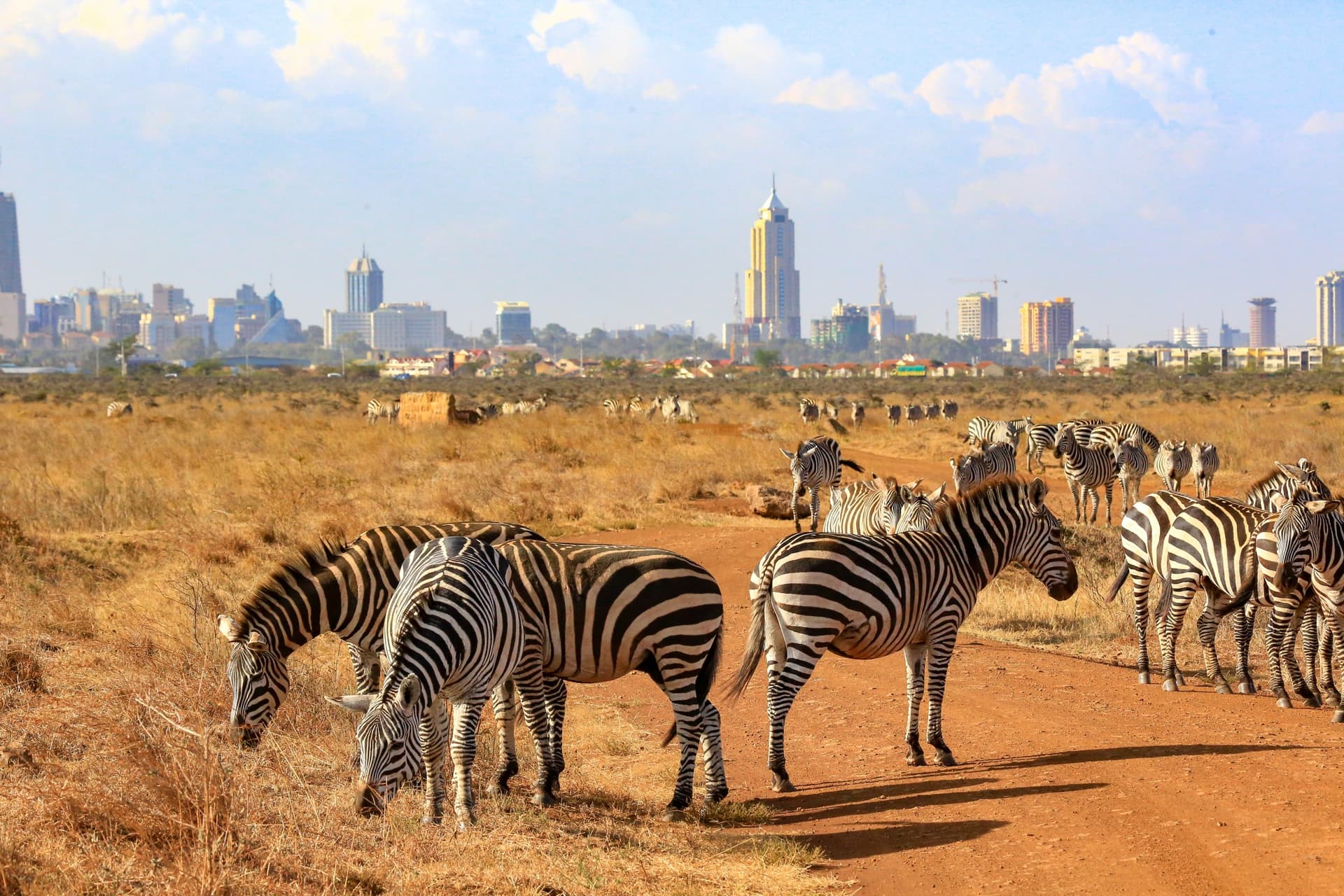Parque Nacional de Nairobi